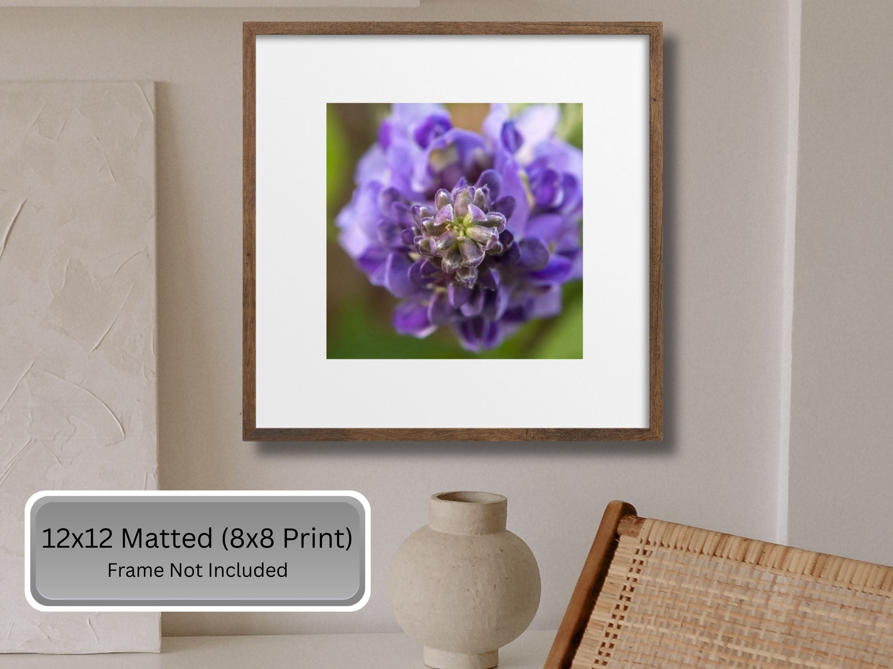 Framed print of a purple wisteria flower with text indicating print sizes and frame exclusion.