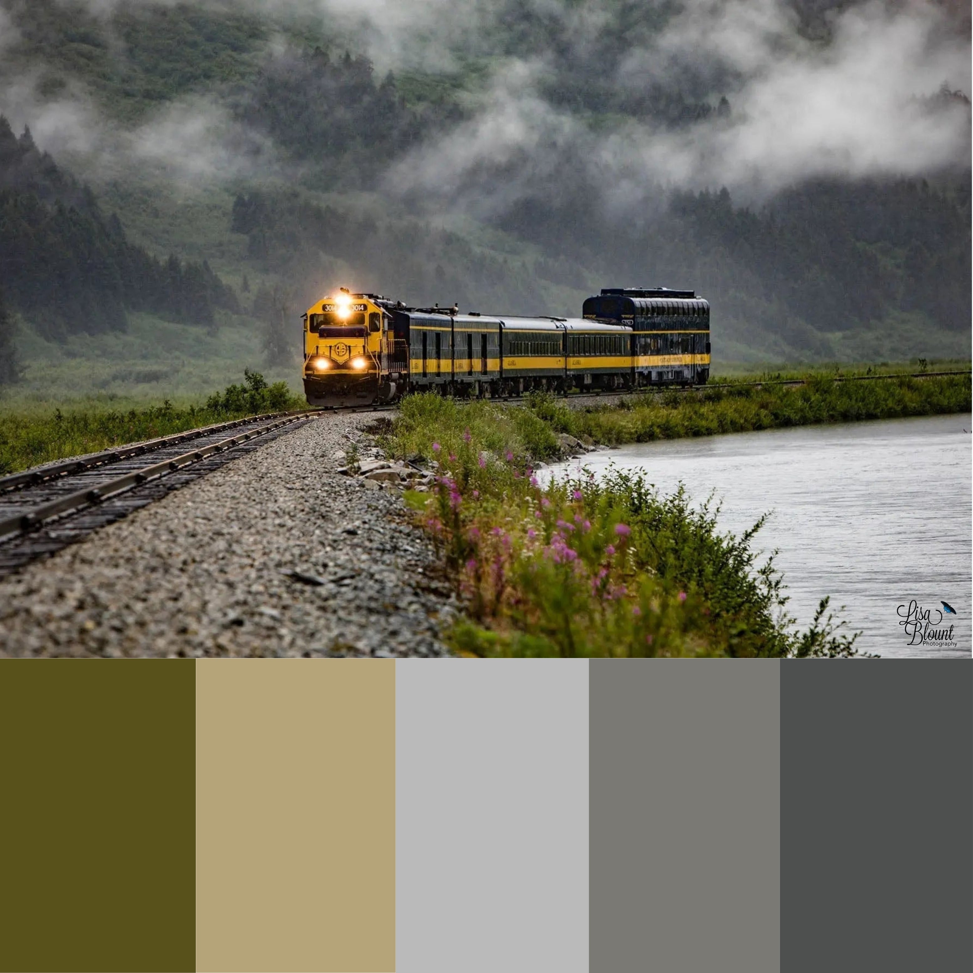 Aboard Alaska fine art photograph of the Glacier Discovery Train with accompanying color palette swatches in gold, gray, and forest tones.