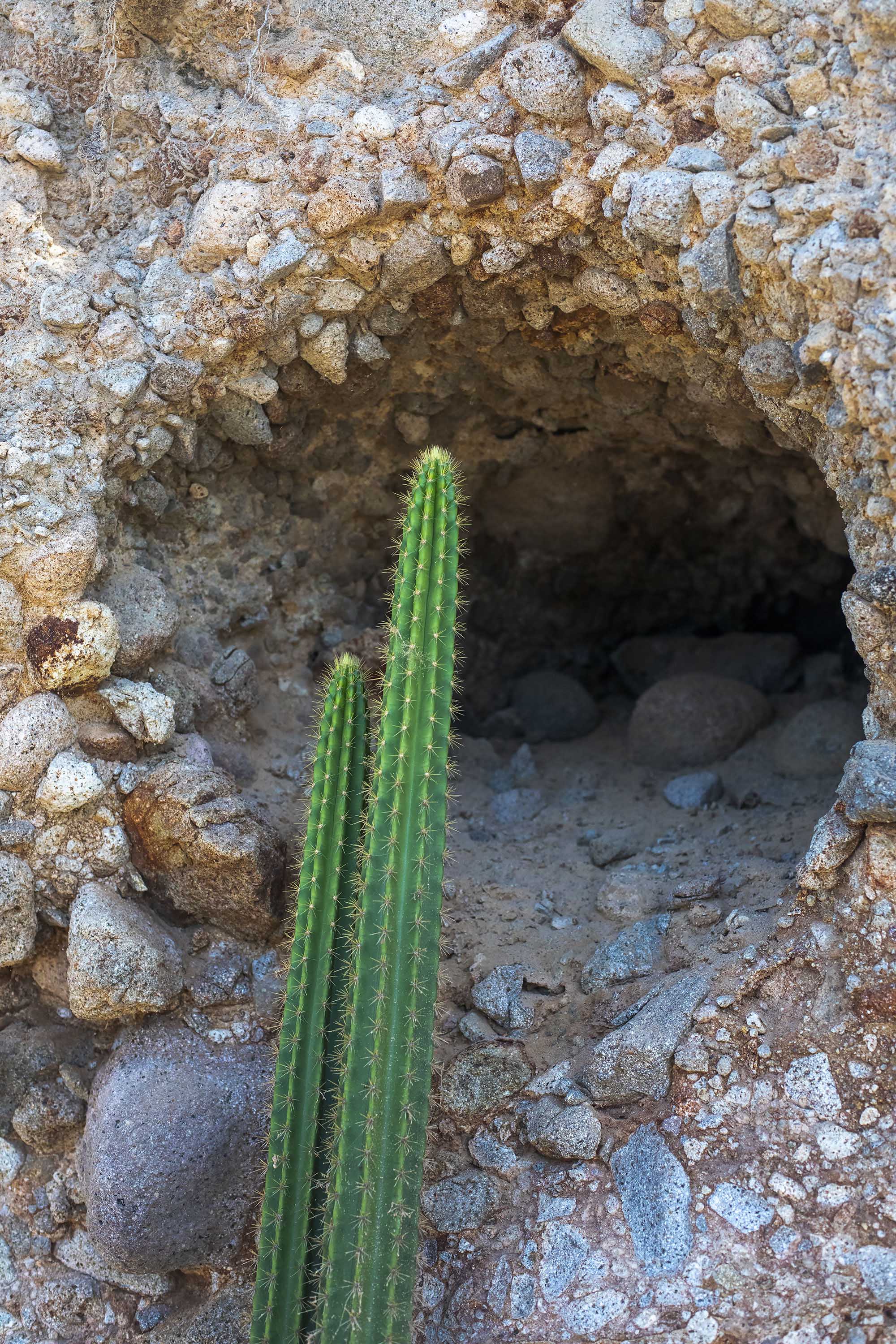 Abstract fine art of rock formation & cactus in St. Lucia resembling lips from rocks and cactus formation 20x30 fine art photography