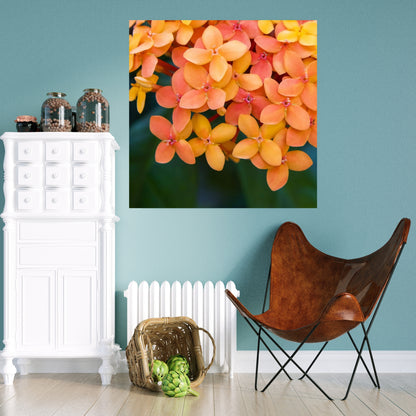 teal blue sitting area with white accents feature large nature art of orange and coral colored tropical flowers