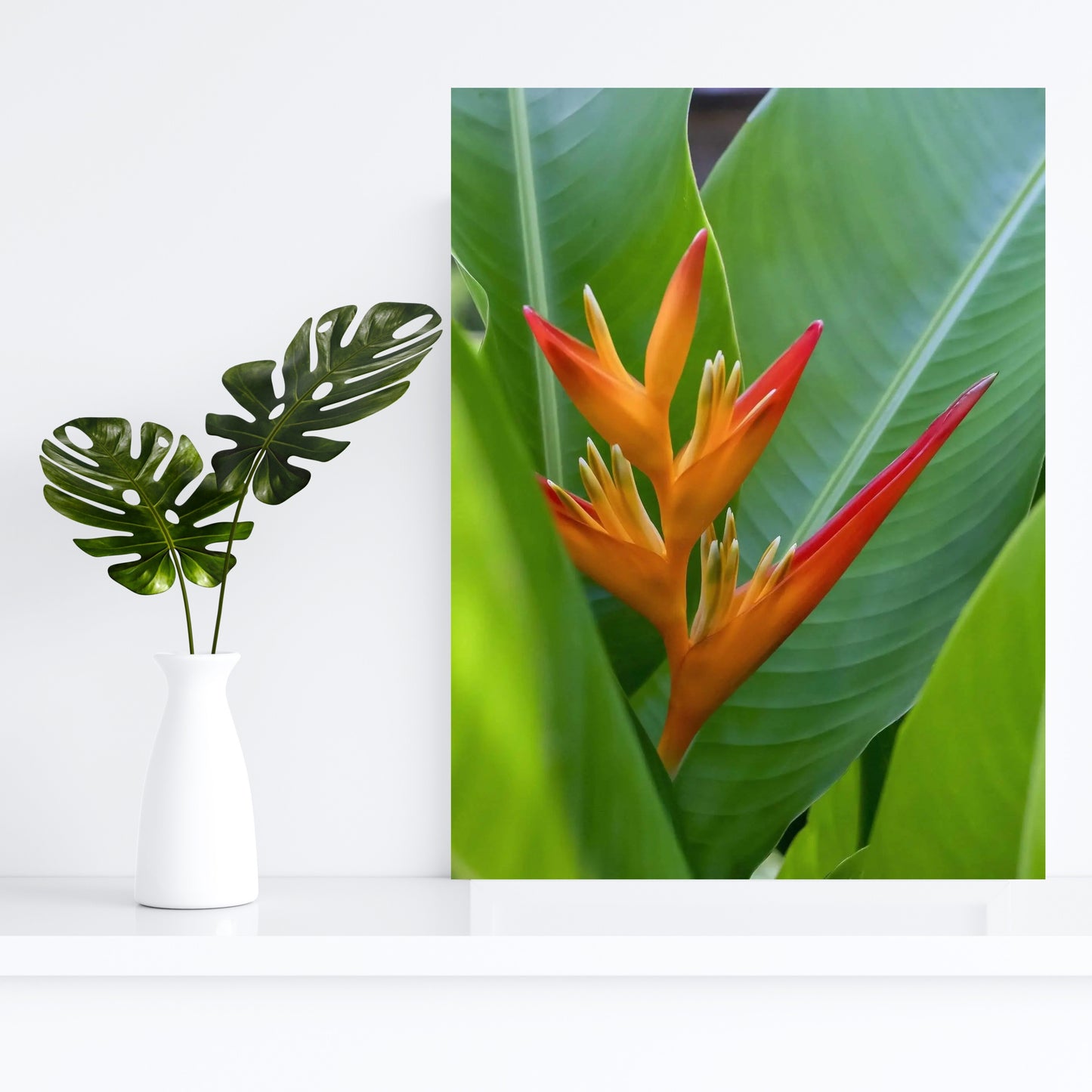 white room with white shelf and tropical plant sitting next to vertical art of bird of paradise