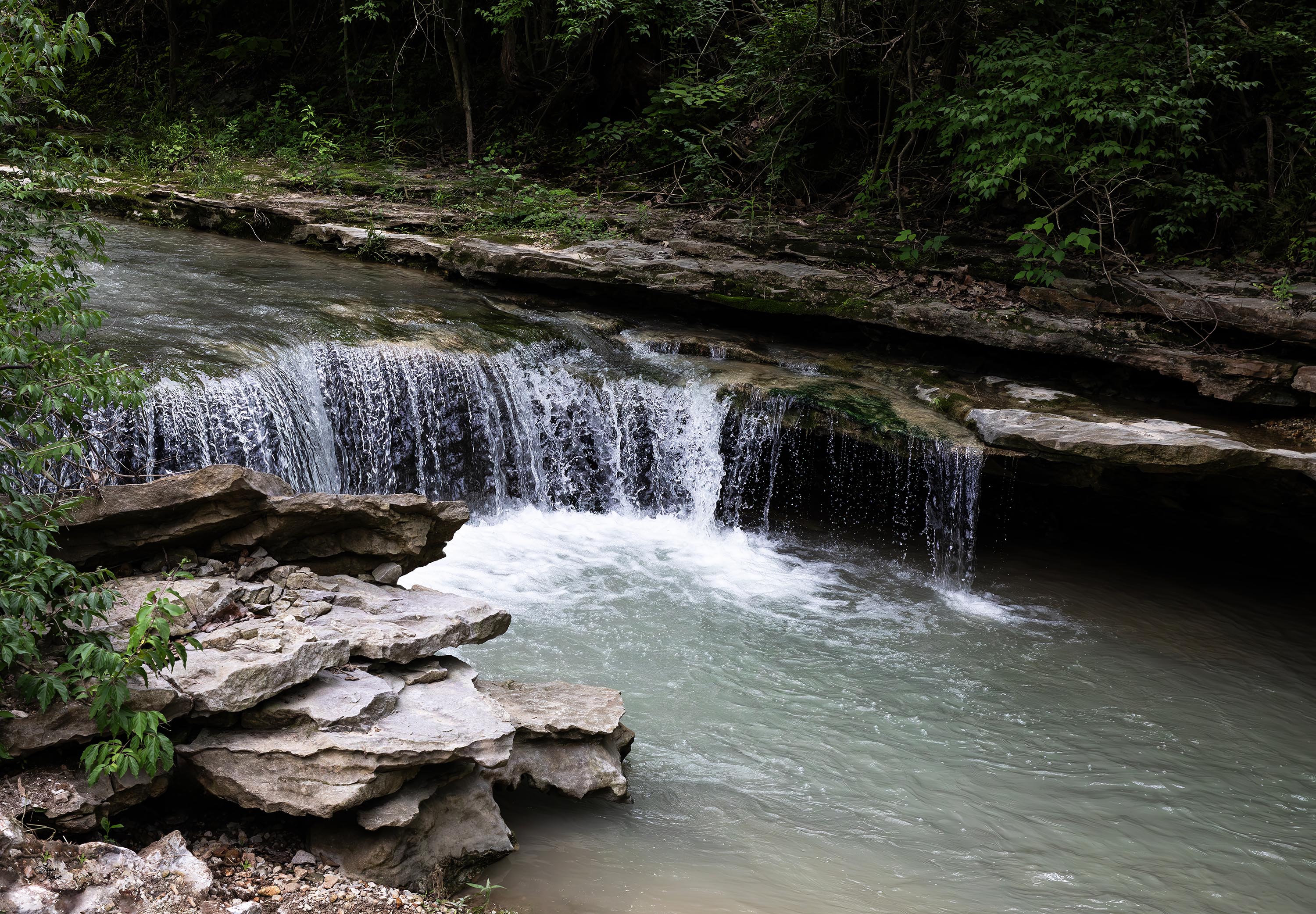 Arkansas waterfall wall art featuring Spring Creek Waterfall on private family land with layered rock, woodland greens, and moving water.