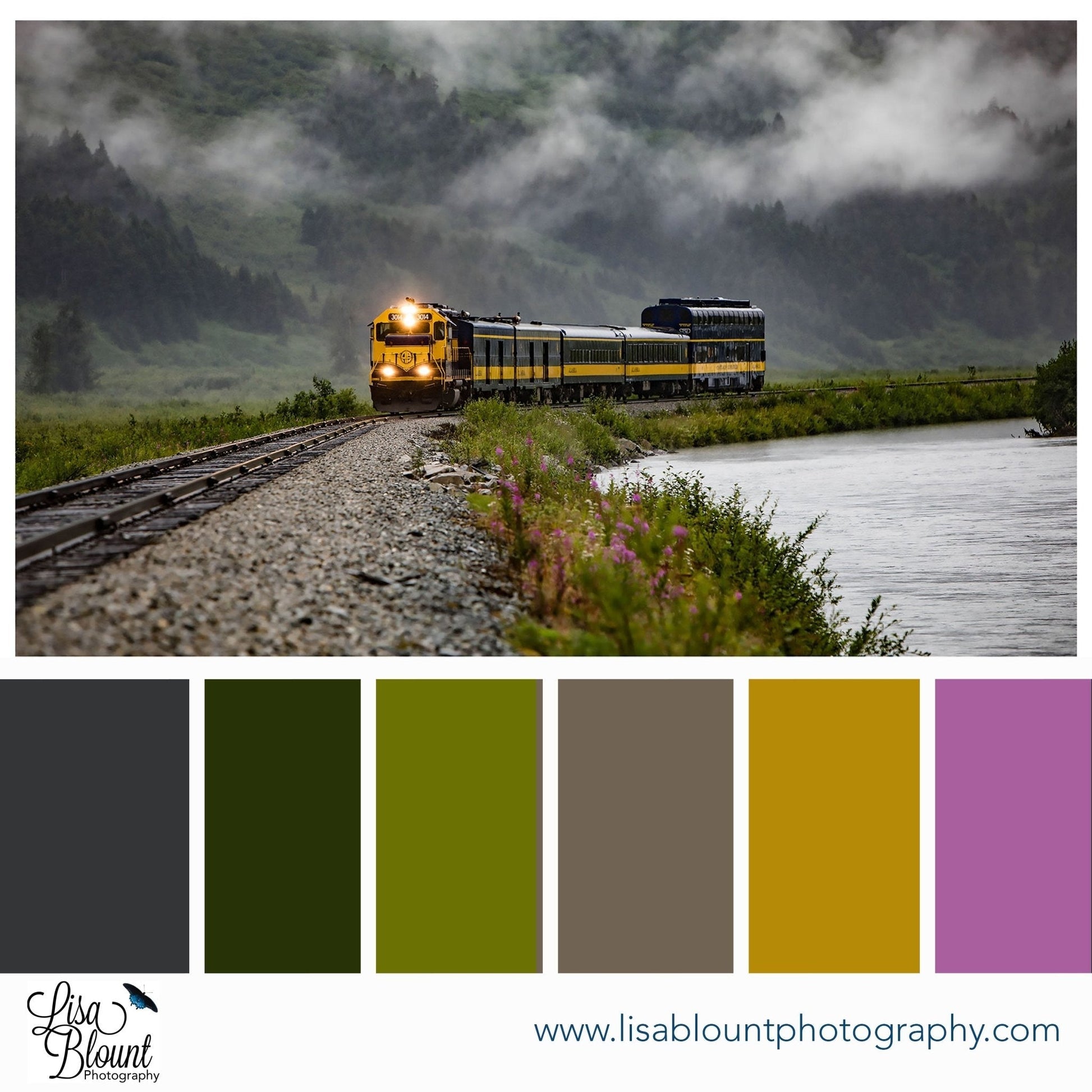 Color palette moodboard for Aboard Alaska train home decor