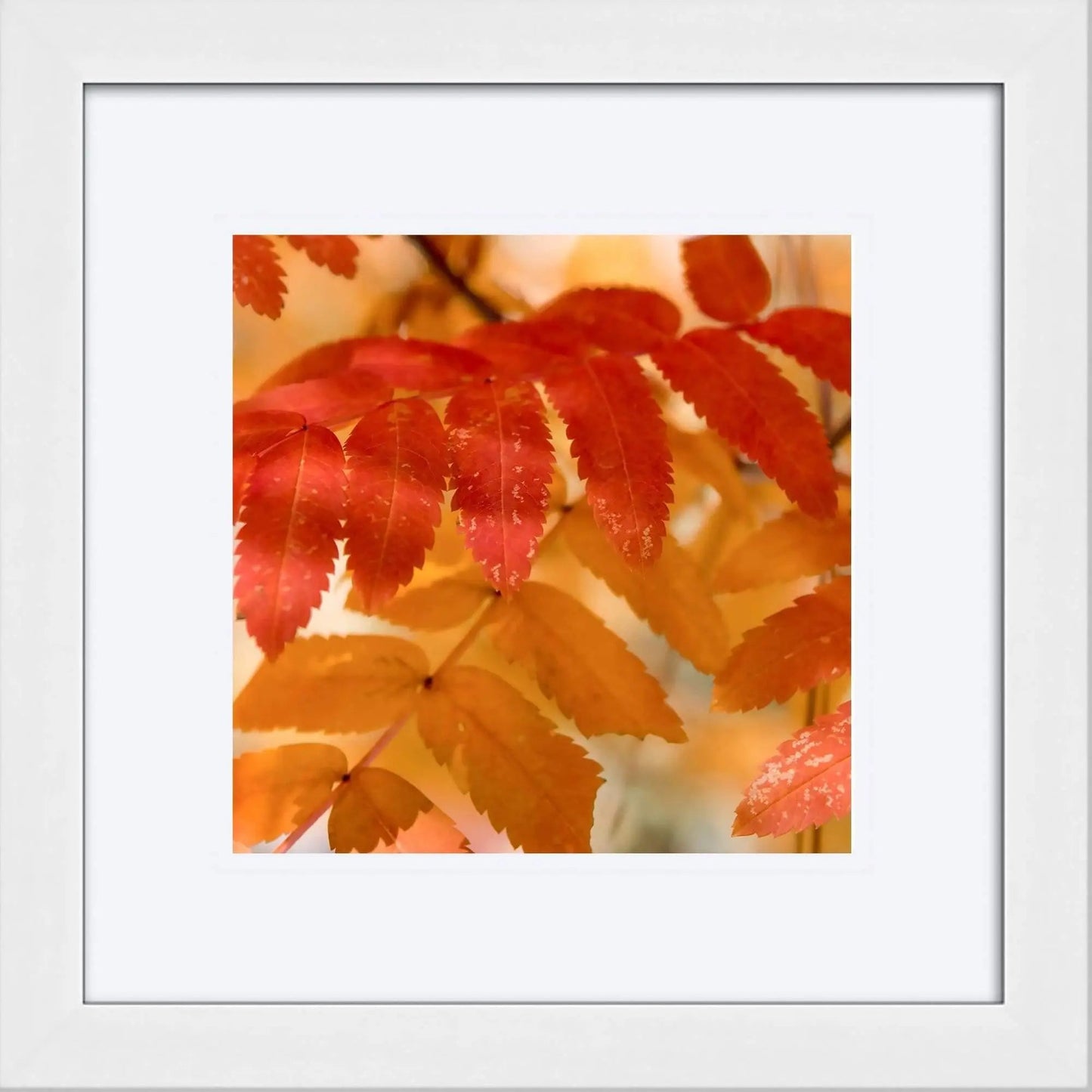 Bright orange fall leaves framed art home decor