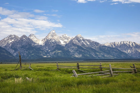 Green pasture with an old wooden fence with Grand Tetons in the back ground