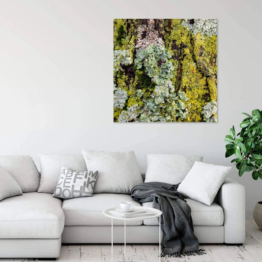 Tree lichen macro in layered greens-museum-quality acrylic or metal print.  Bright green moss and lichen on tree bark - art hanging above a white couch in a living room.