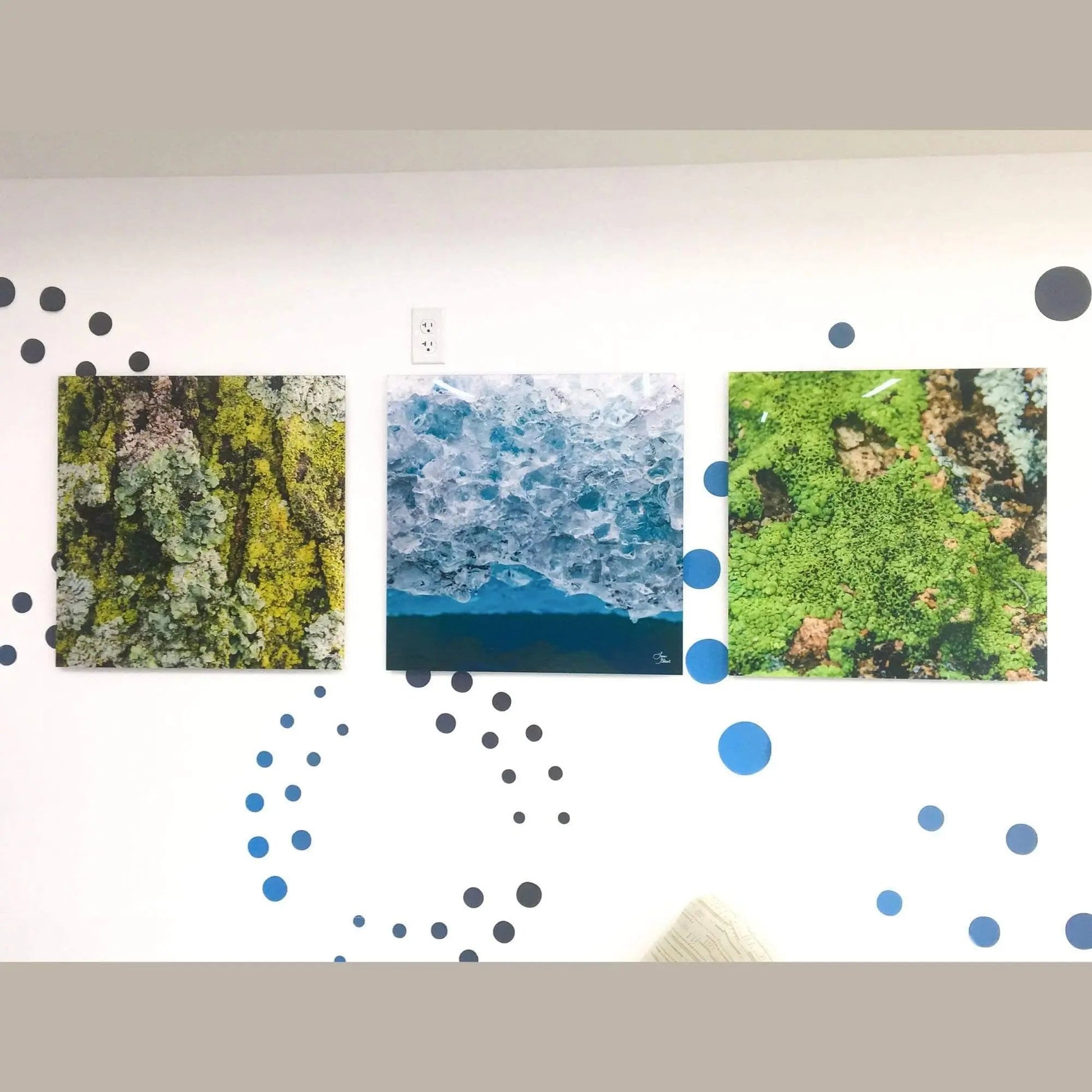wall display featuring three large lichen and ice art pieces at OZPROS dentist office on white wall