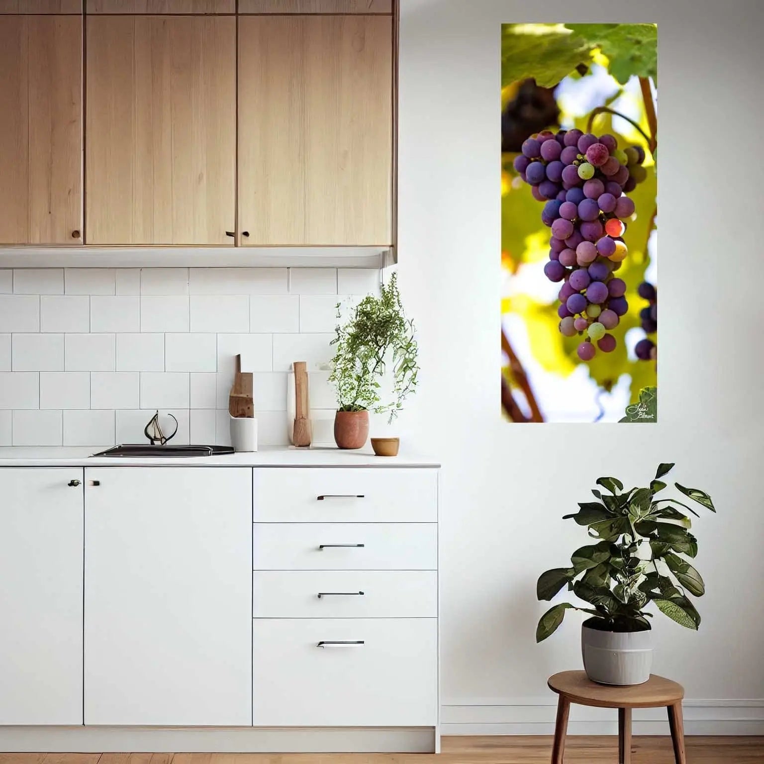 Colorful Napa Valley grape photograph hanging in a minimalist white kitchen with wood cabinetry and potted plants.
