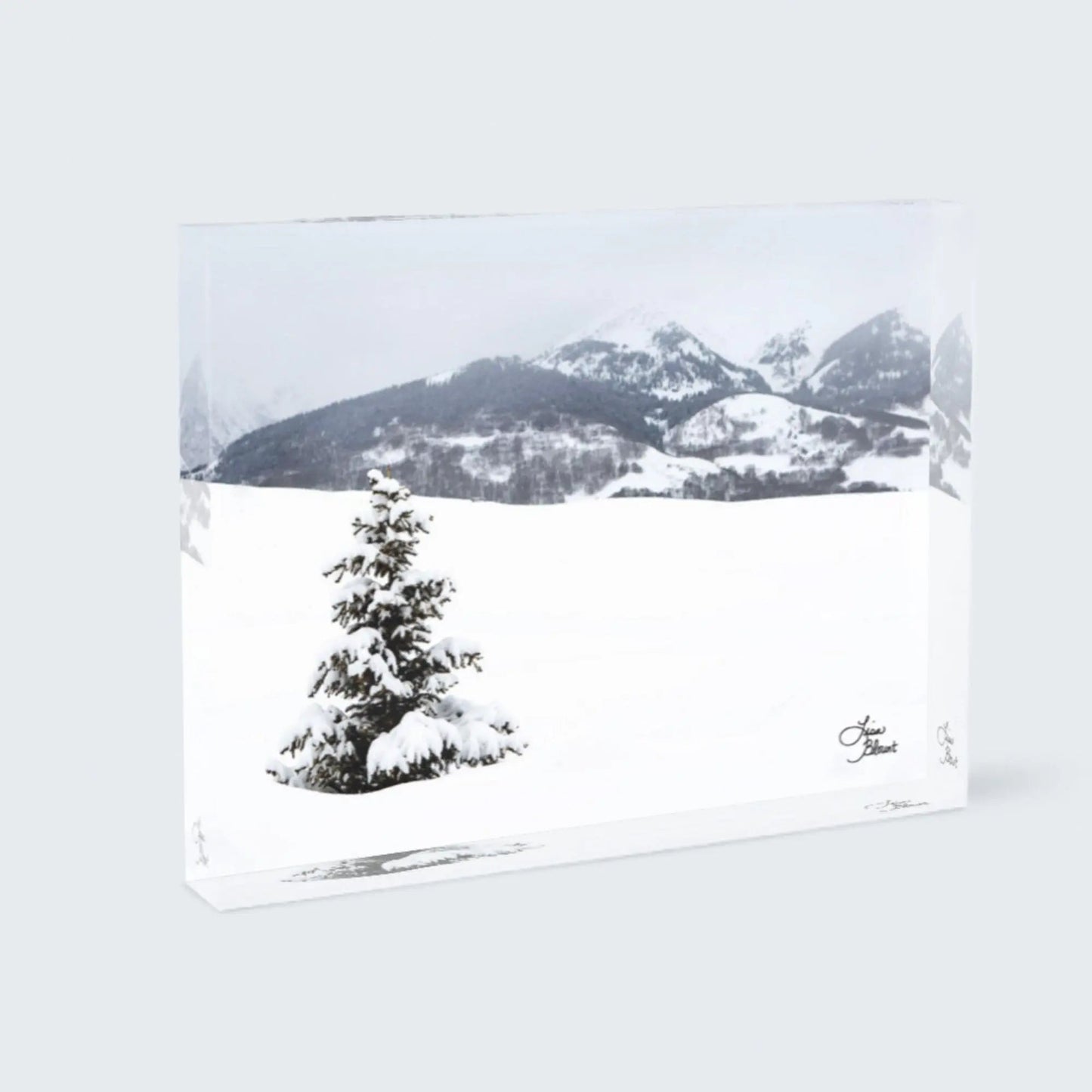 Snow covered pine tree standing alone on a hill art in an acrylic block