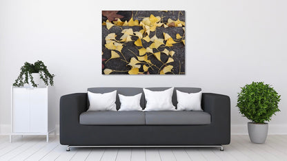 Yellow Ginkgo leaves scattered on dark grey sidewalk art displayed over gray couch