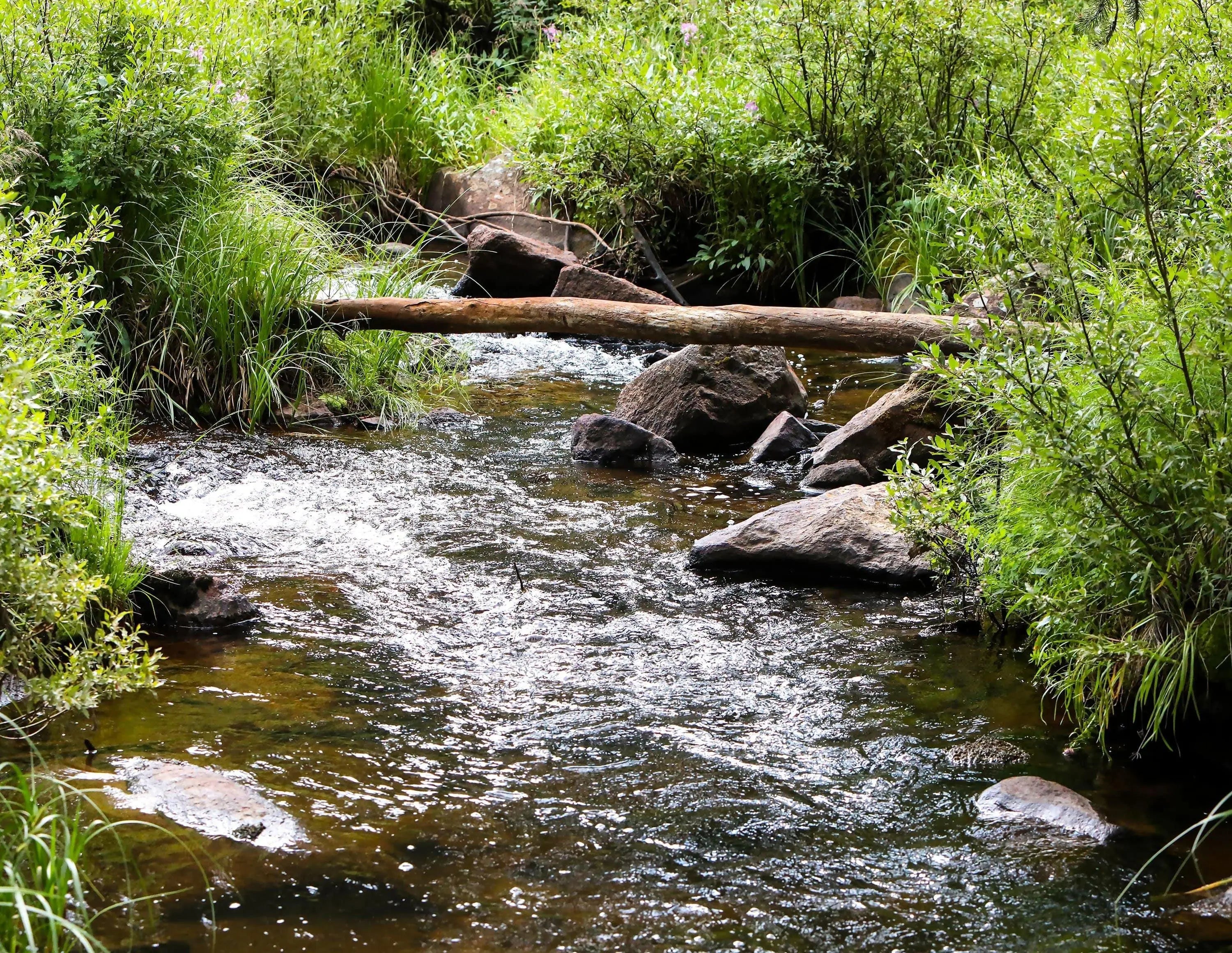 acrylic wall decor creek running thru rocks greenery with a tree foot bridge photo art in Wyoming