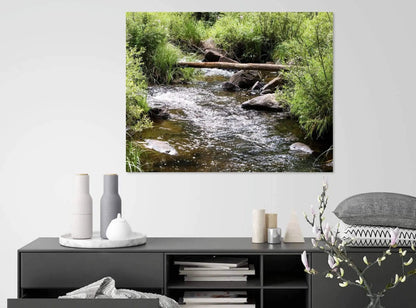 babbling brook fine art wall decor displayed over cabinet in room