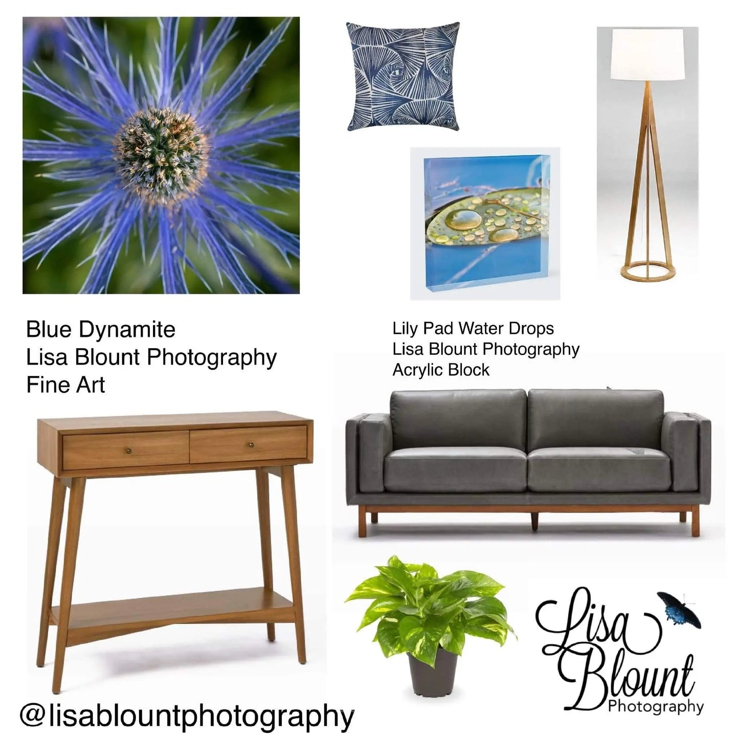 Best Mood board with Blue Dynamite sea holly flower art and lily pad art