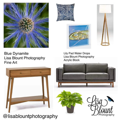 Best Mood board with Blue Dynamite sea holly flower art and lily pad art