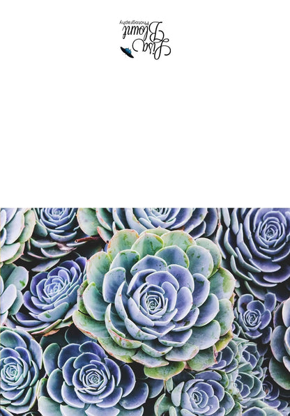 Blue Succulent blank Greeting Note Card Lisa Blount Photography long view before folded