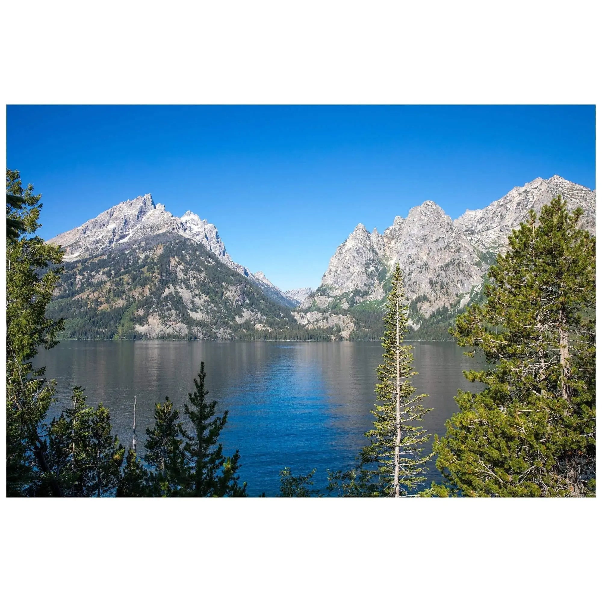 Fine art photograph of Jenny Lake with clear blue water, evergreen trees, and the Teton Mountain range under a bright blue sky.