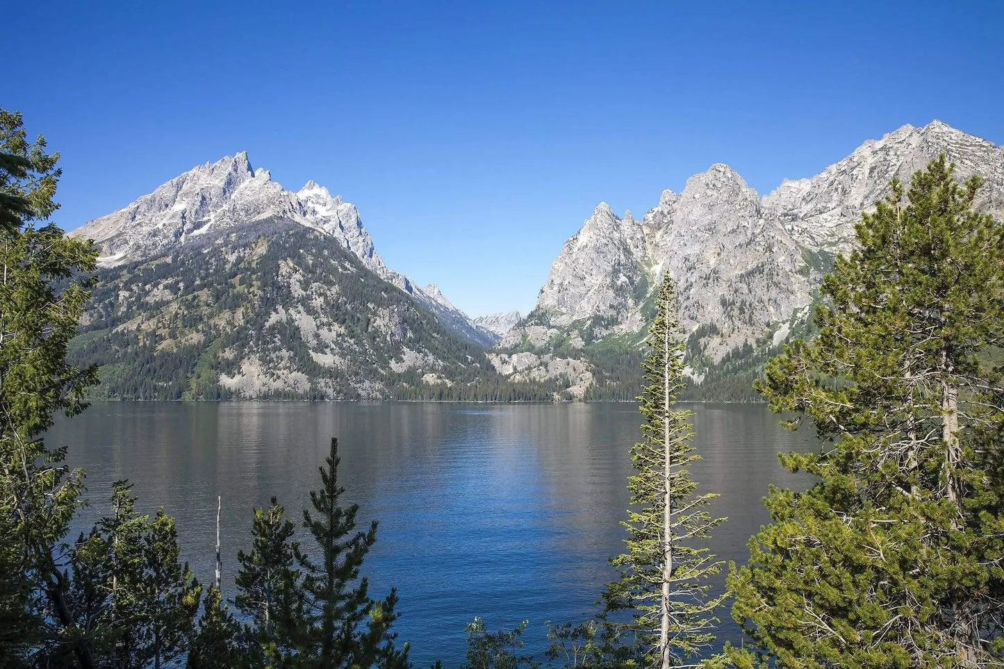 Jenny Lake Wyoming wall art – Grand Teton reflections fine art print in calming blues. Limited edition 60x40 fine art photography print of Jenny Lake with the Teton Range in the background, titled 'Color of Jenny Lake.'