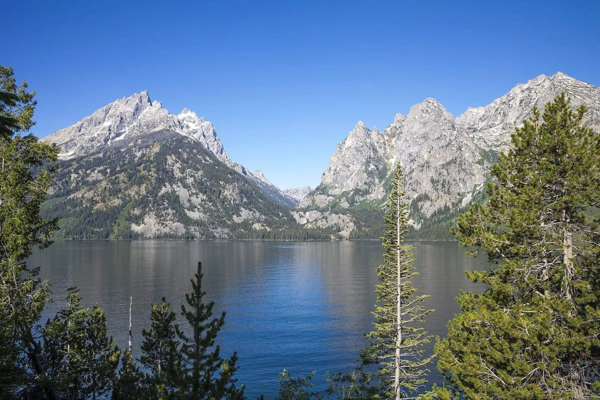 Jenny Lake, Wyoming—still waters, alpine light, and serene blue reflections. A fine-art photograph capturing the calm and beauty of Grand Teton National Park.