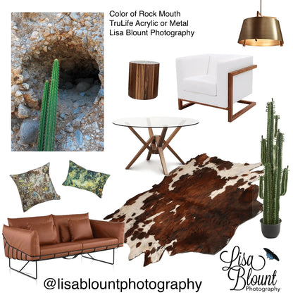 Color of Rock Mouth Fine Art Mood Board western southwest featuring art by Lisa Blount