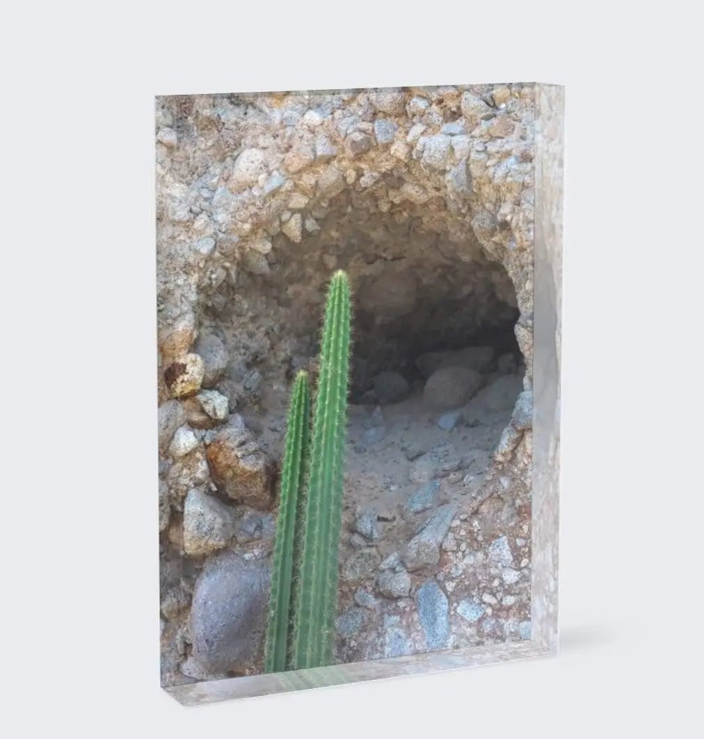 Rock mouth with cactus acrylic block 5x7