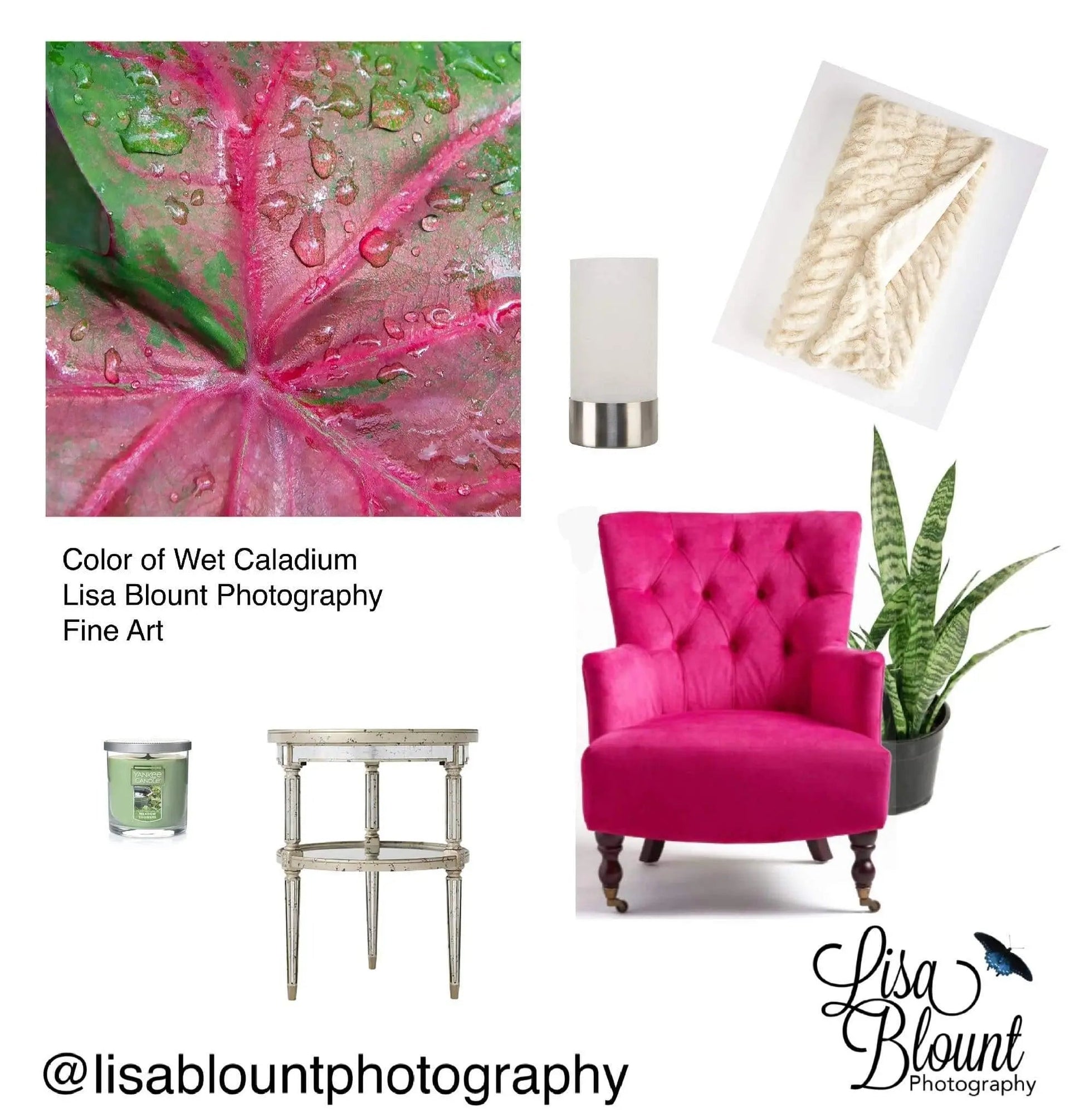 Hot Pink and white Mood board featuring Color of Wet Caladium by Lisa Blount Photography