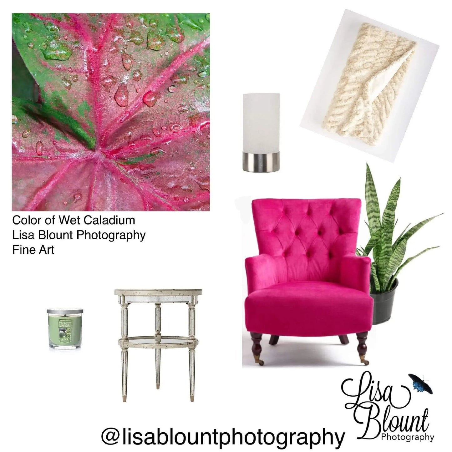 Mood board of caladium art hot pink