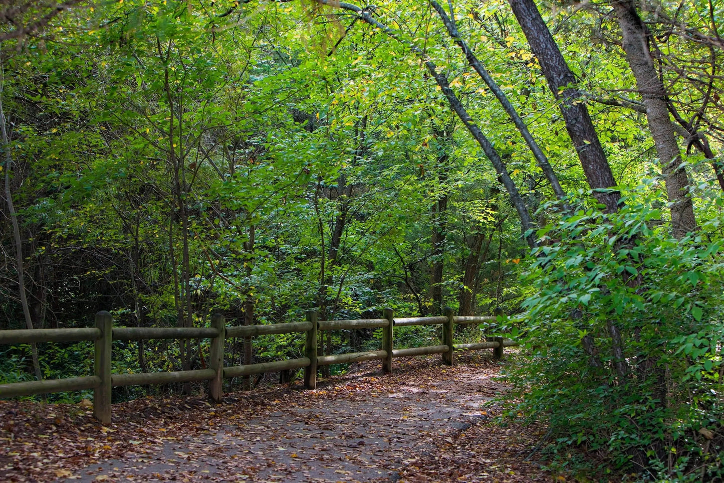 Follow the Path Note Card Lisa Blount Photography