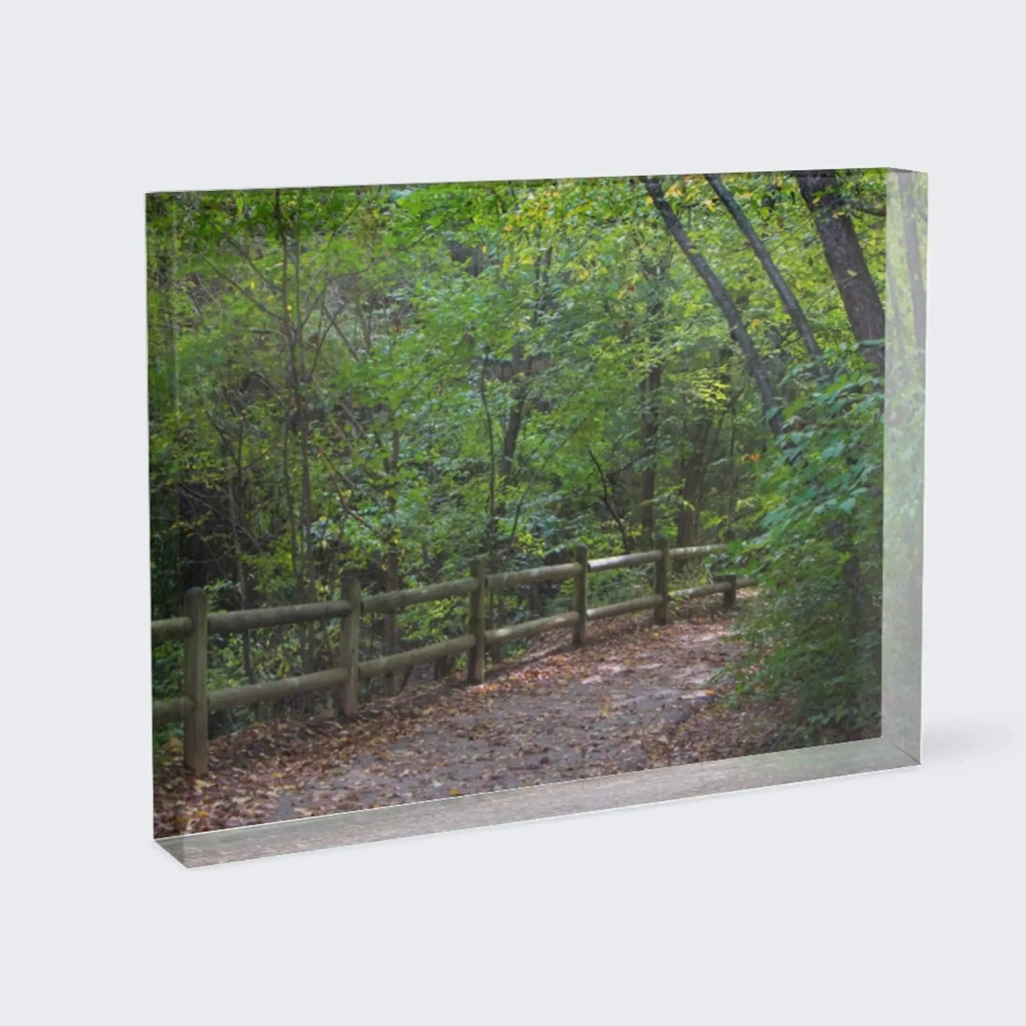 Nature art capturing landscape of trail into woods on acrylic block