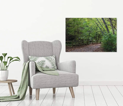 landscape photo art green trees with path into woods displayed on wall