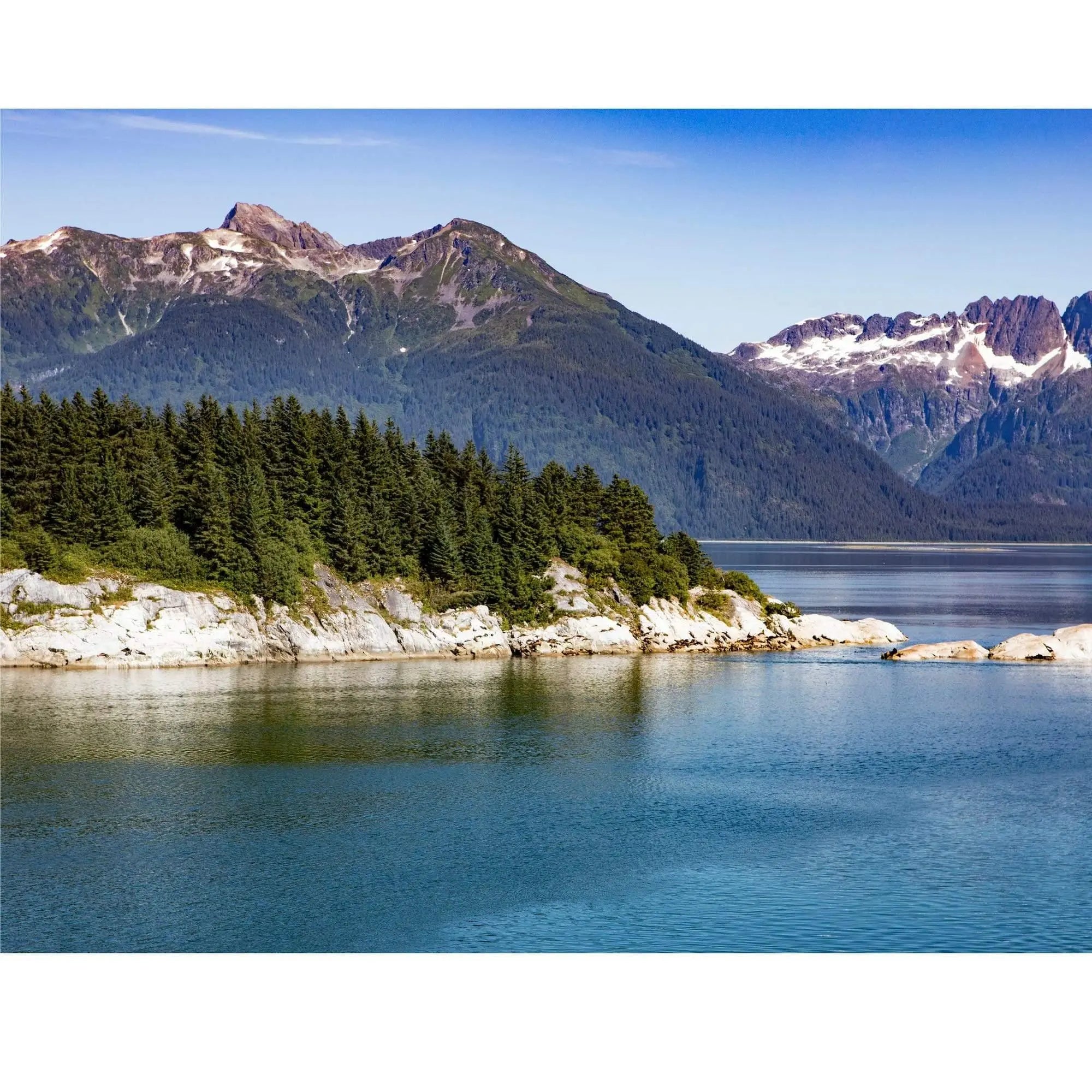 Glacier Bay Alaska landscape sunbathing sea lions trees rocks snow mountains fine art photography