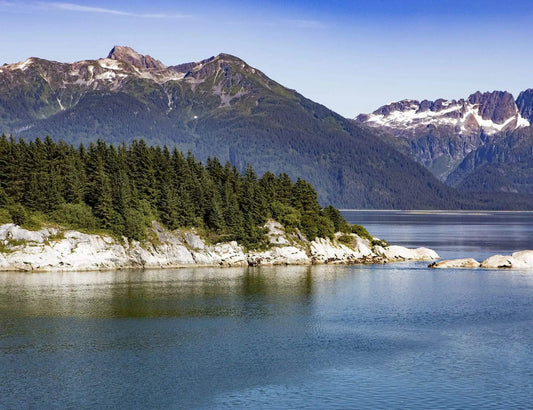 Glacier Bay Alaska landscape sunbathing sea lions trees rocks snow mountains fine art photography