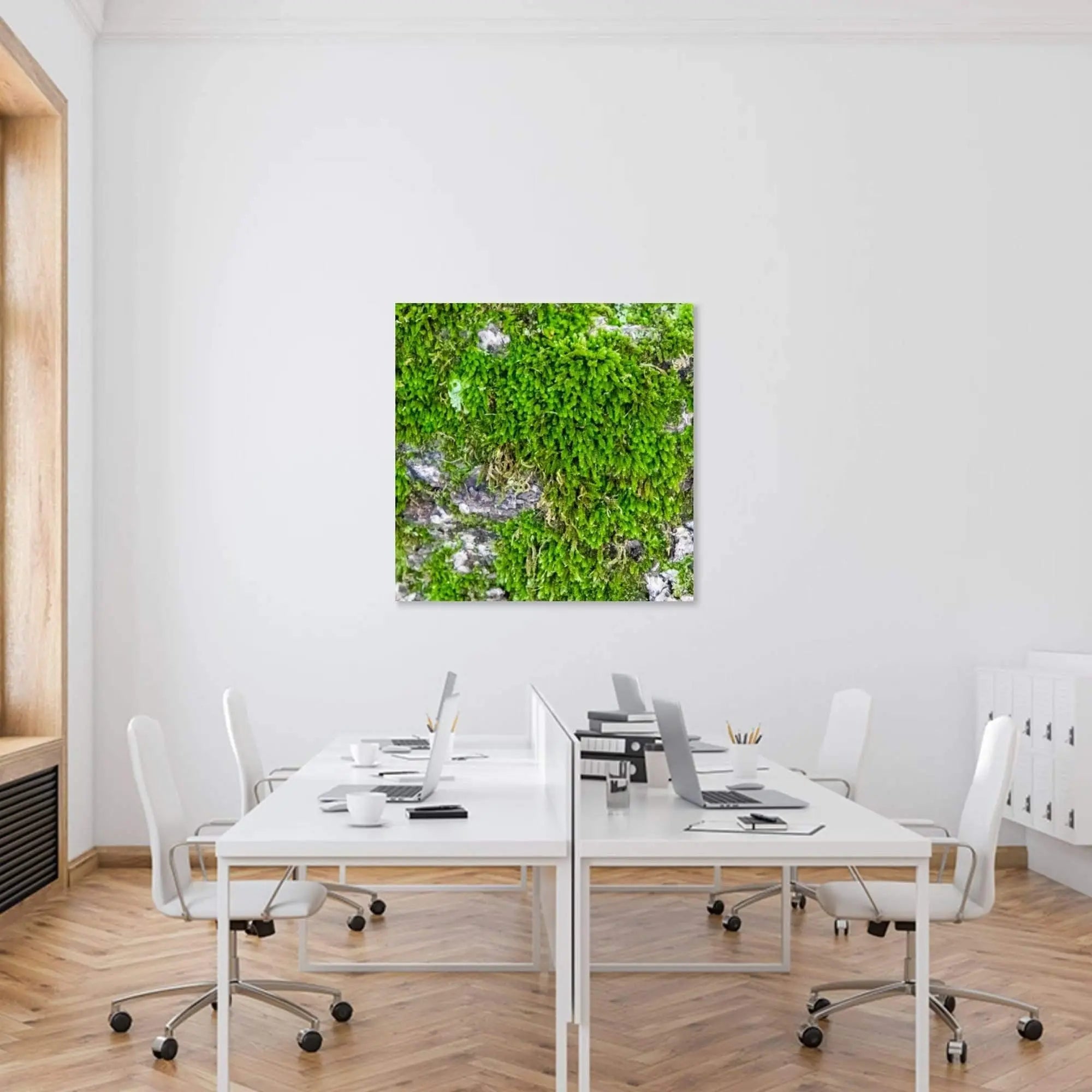 Large wall decor of Abstract Green Moss displayed in training room on white wall by Lisa Blount