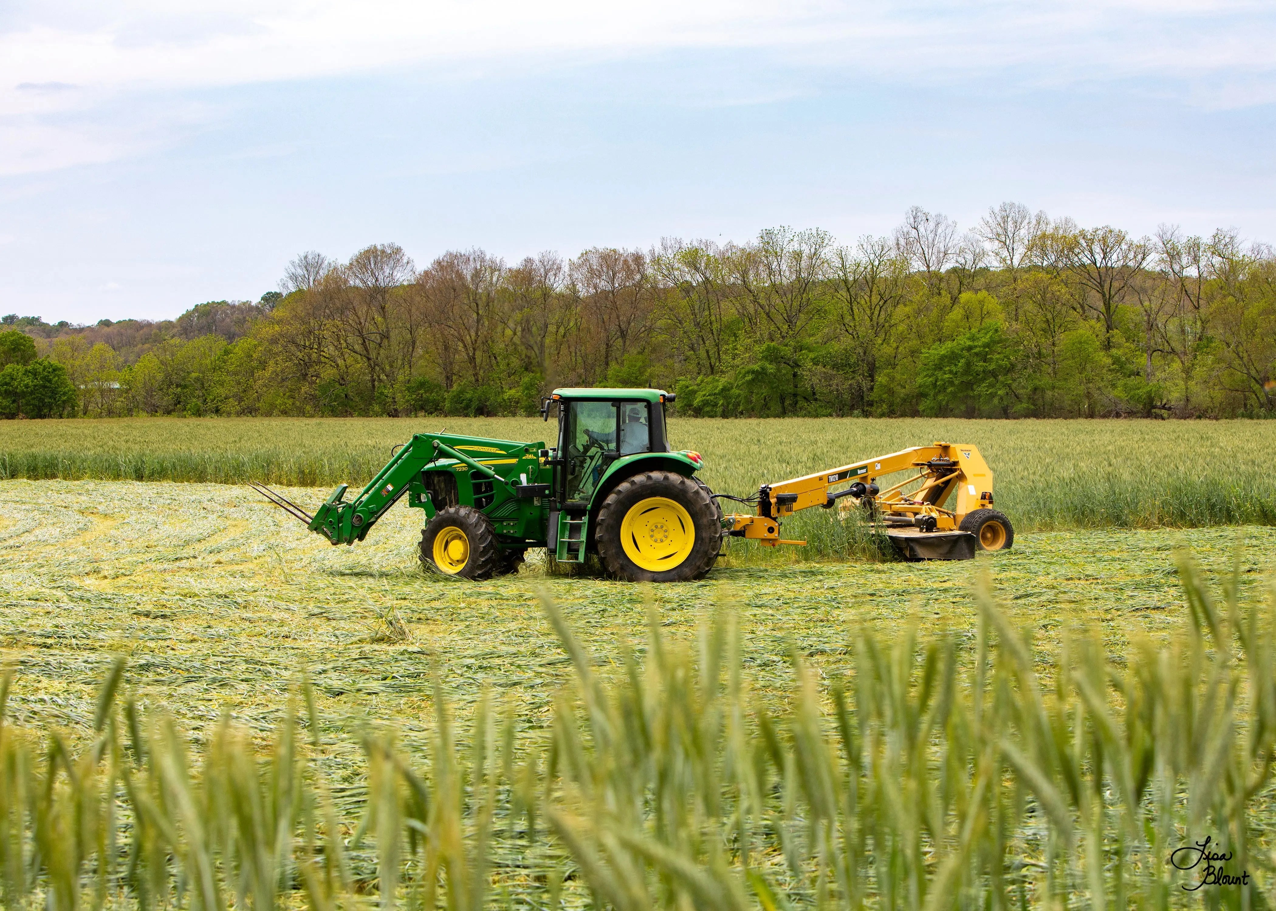 John Deere tractor harvesting wheat field fine art photography