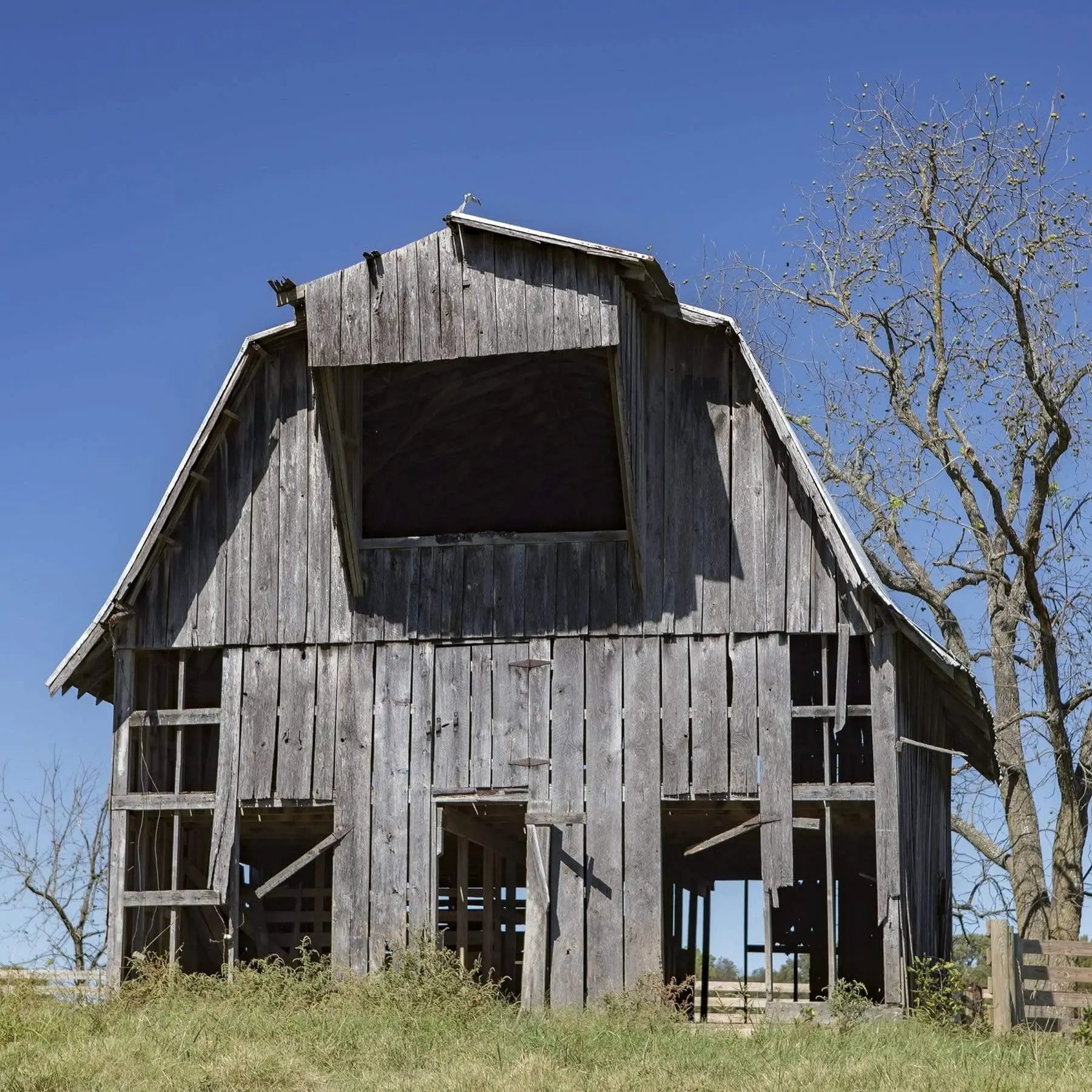 Weathered wooden barn with open hayloft and missing boards under a clear blue sky – rustic fine art photograph (tornado-destroyed landmark)