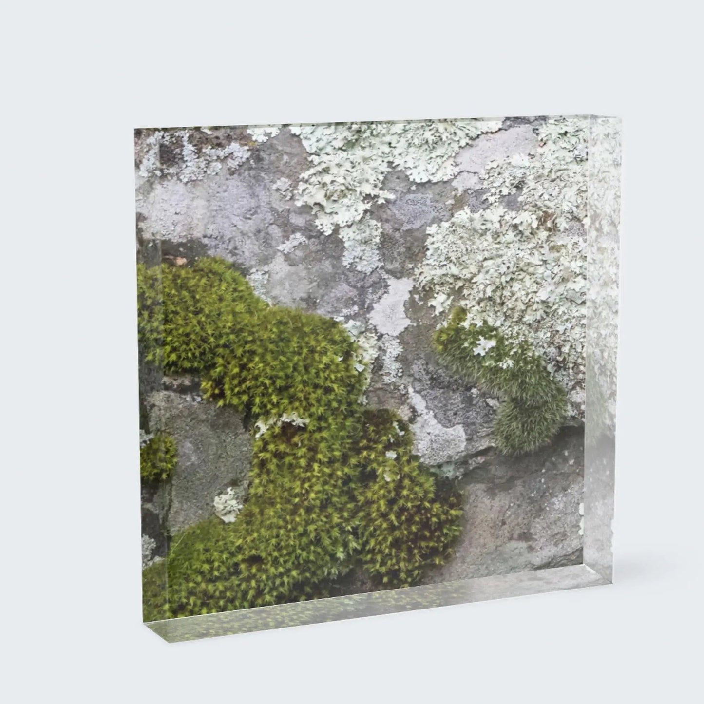 Keystone green lichen acrylic block art