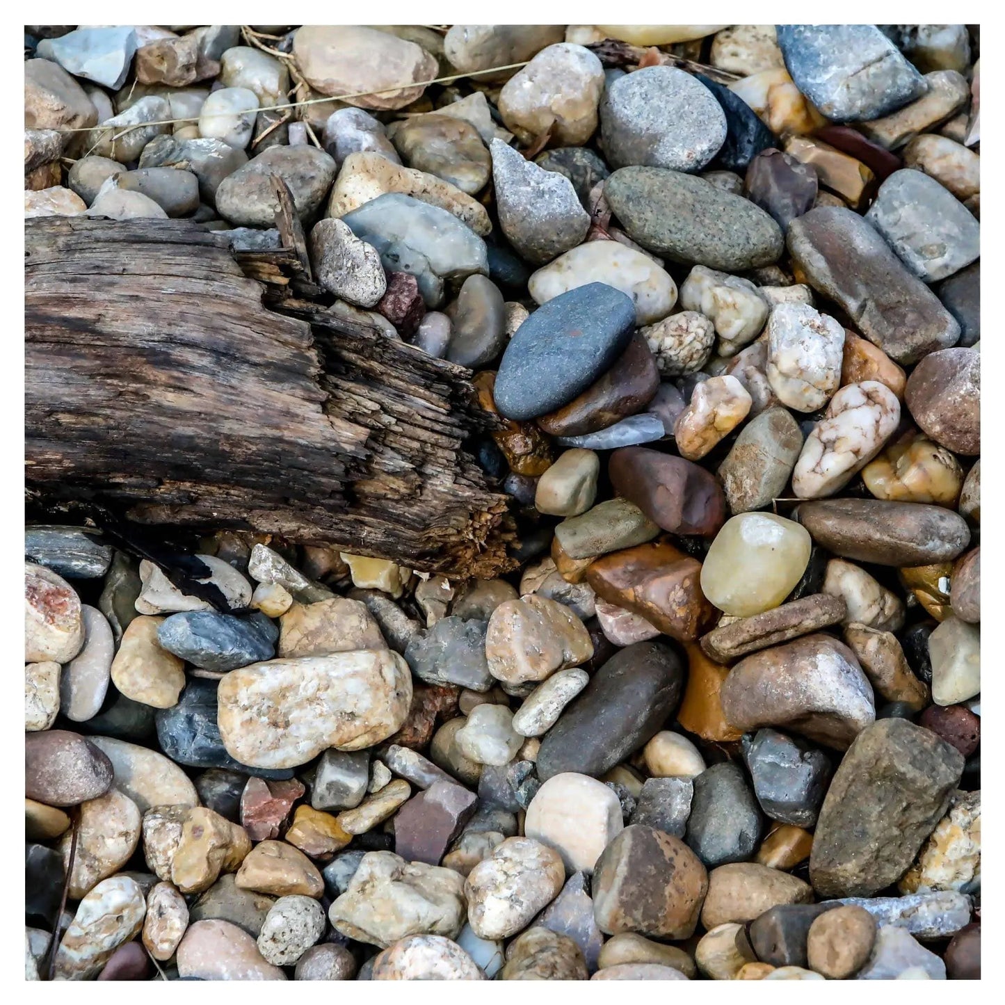 Multicolored rocks with log artistic photography Lisa Blount