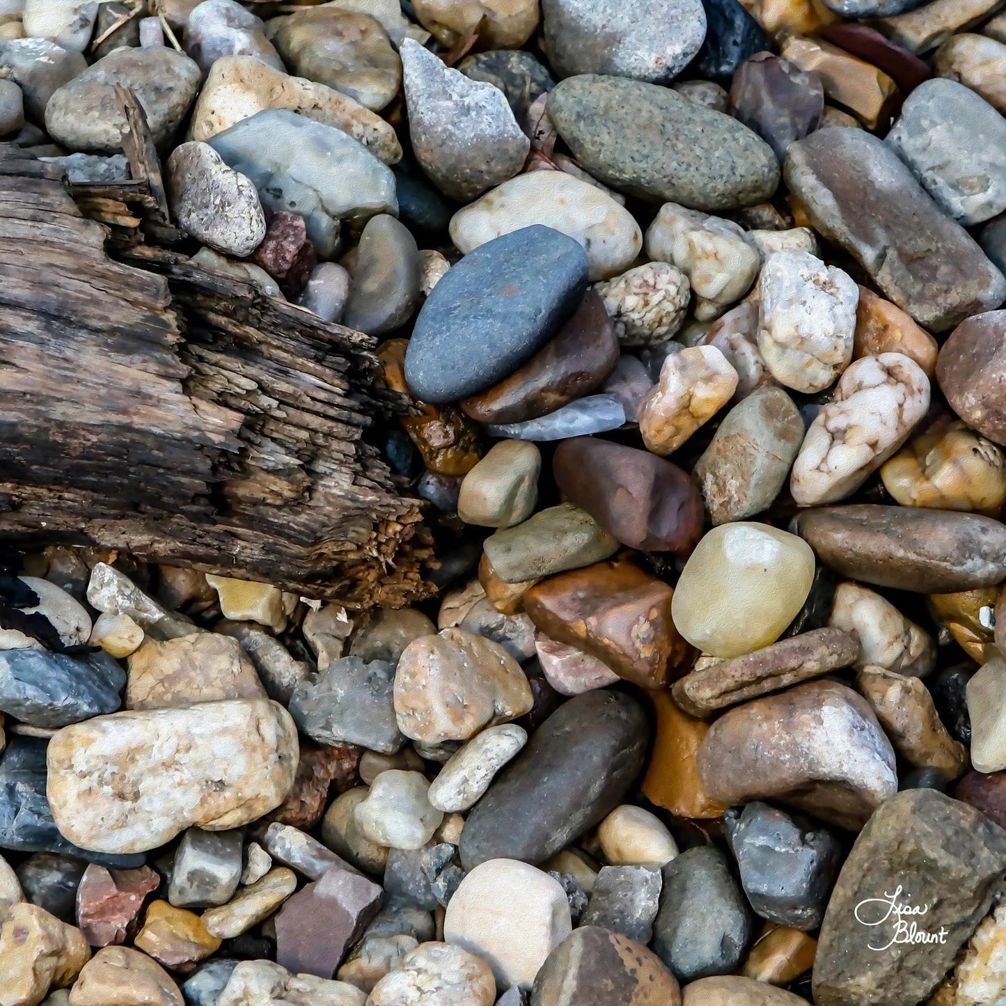 artistic photography of rocks in Keystone Wyoming by Lisa Blount