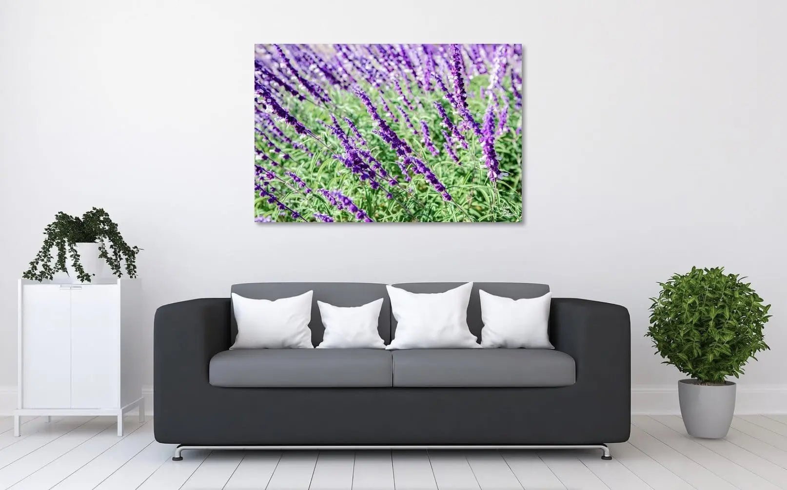 30x20 art of purple lavender blooming hanging above a couch