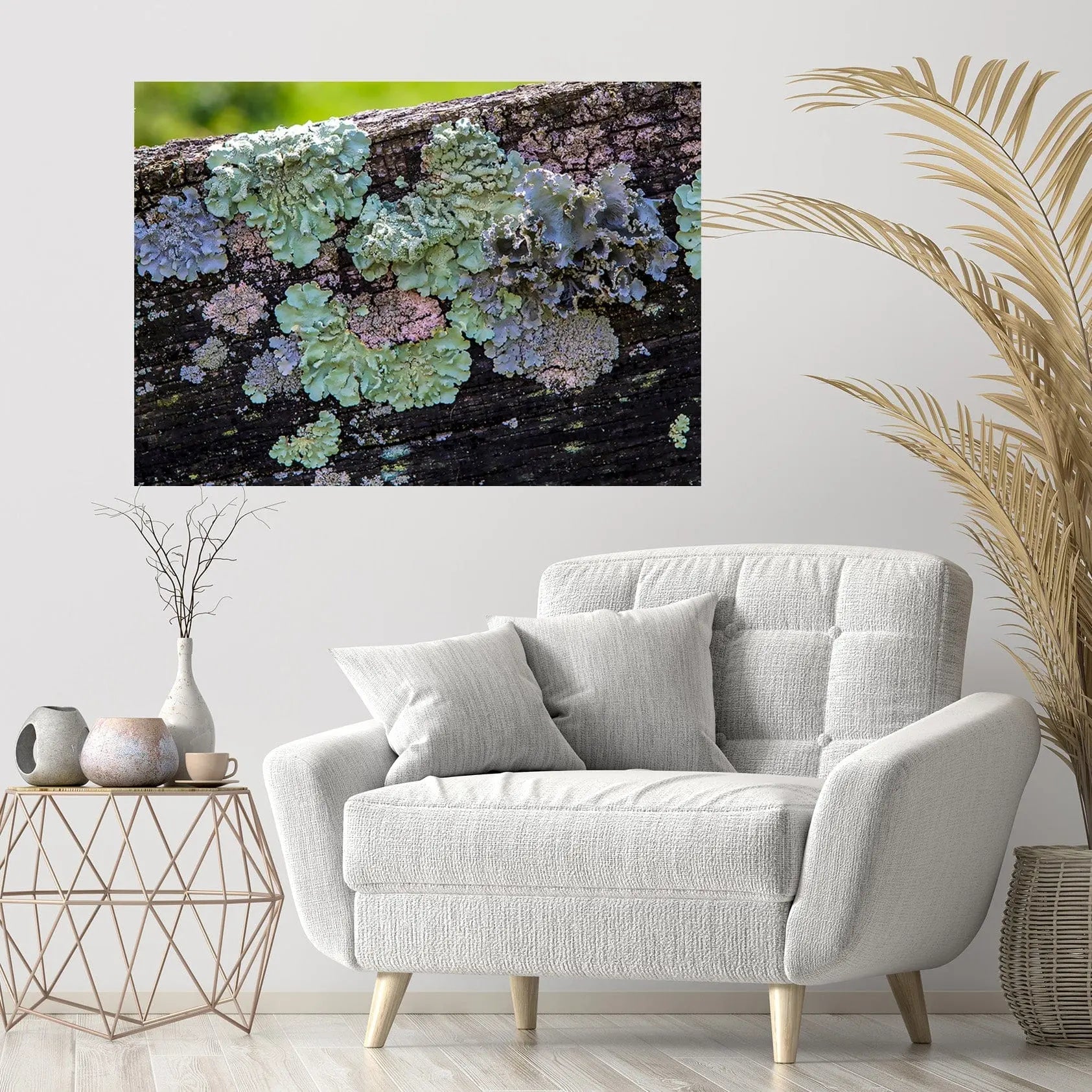 Lichen wall decor pastel colors wooden fence rectangle fine art on white wall by Lisa Blount 30x20 custom sizes