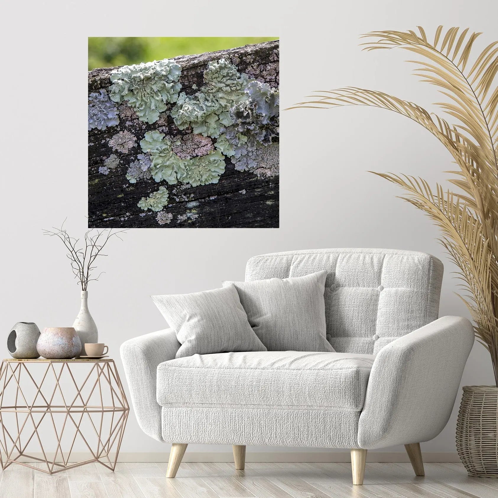 Lichen wall decor pastel colors wooden fence square fine art on white wall by Lisa Blount 20x20 24x24 custom sizes
