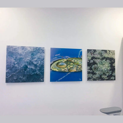 3 nature focused art pieces by Lisa Blount hanging in a dental office includes ice, lily pad, and lichen