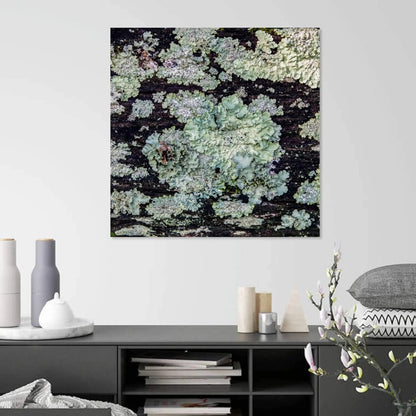 Teal abstract art of lichen displayed in room above cabinet