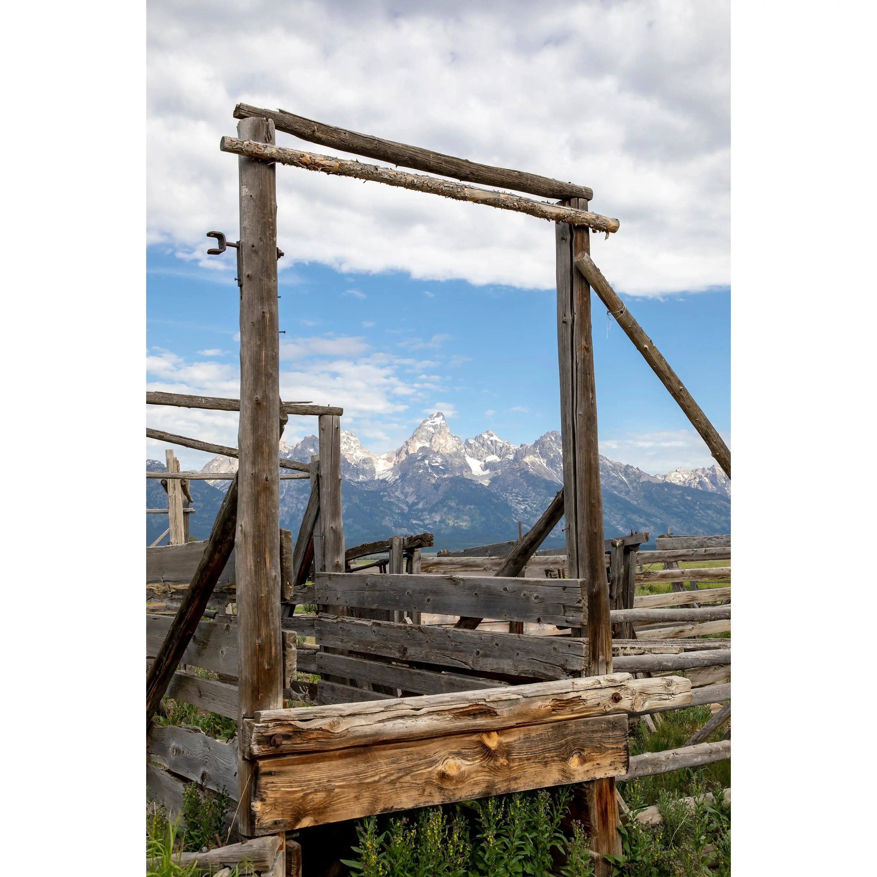 Rustic Cattle chute at Mormon Row Grand Tetons Wyoming fine art photography Lisa Blount