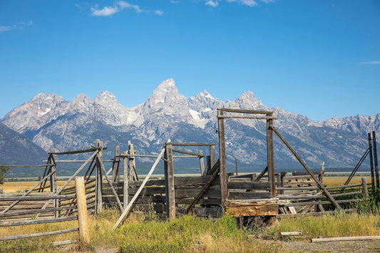 Rustic fence cattle chute in front of the grand tetons Wyoming Lisa Blount Photography