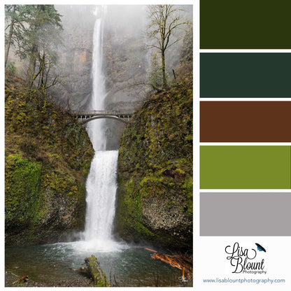 Color Palette Moodboard for large photography art of Multnomah Falls