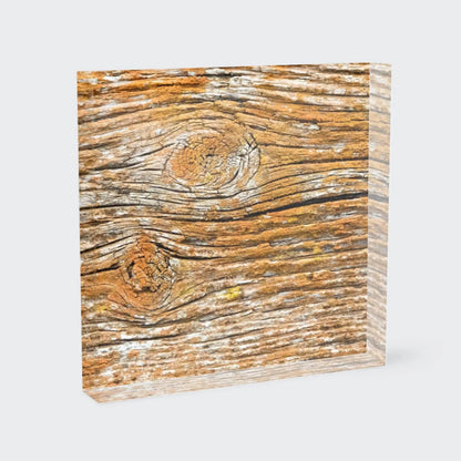 Orange lichen rustic wood pattern abstract room view fine art photography home office decor wall acrylic block
