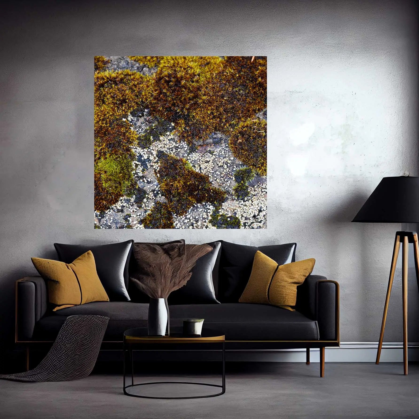 Photo of Orthotrichum Tree Cushion Moss found on a bridge near Columbia River Highway in Oregon and turned into large art