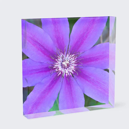 Acrylic art block Purple Clematis ready for a shelf in your home decor