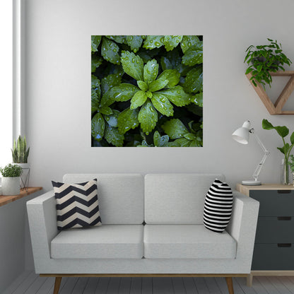 Raindrops on green leaves wall art hanging above gray sitting couch