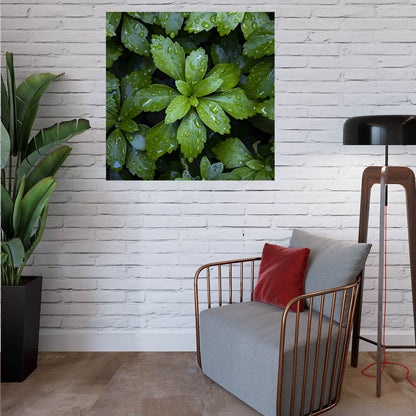 modern sitting area with art of green leaves with raindrops 